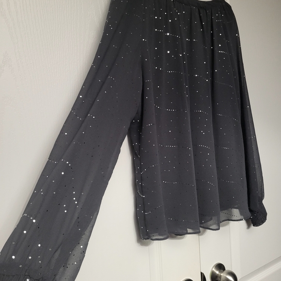 Billie & Blossom Gray Chiffon Lined Sparkle Blouse L/XL - Picture 7 of 9
